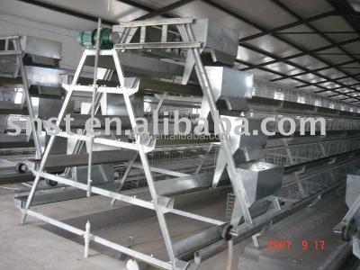 China Good Price Used Poultry Poultry Show Cages With CE Certificate for sale