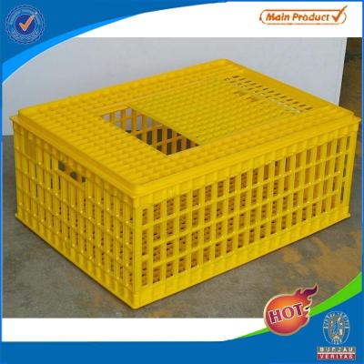 China Easily clean chicken transport transfer plastic cage for sale