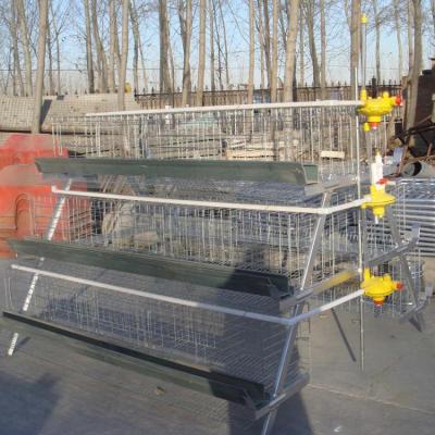 China Hot Selling Chicken Battery Type Chicken Cage In With SONCAP for sale