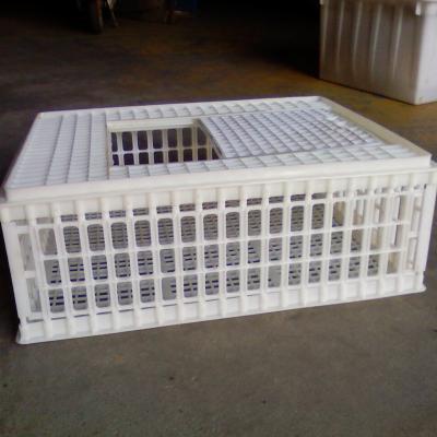 China Original Big Sizeplastic Chicken Poultry Transport Crate Crate Square Plastic Container Weight Farms Sliding Quantity for sale