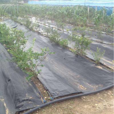 China HDPE OR PP Anti UV Plastic Agricultural Weed Control Anti PP Woven Mat for sale