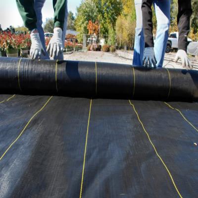 China HDPE OR PP garden ground cover fabric / weed barrier mat weed control / anti agro pp plastic weed for sale