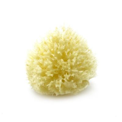 China All Natural All Natural Honeycomb Sponge Sea Wool Renewable Soft Sponge Real By Bath And Shower for sale