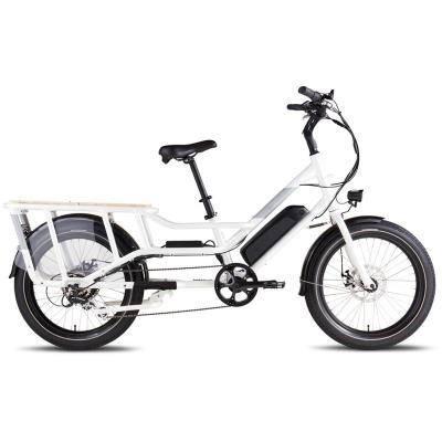 China Adult 250/500w ebike dual lithium battery accolmile delivery OEM aluminum alloy OEM cargo e-bike for sale