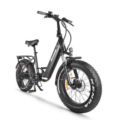 China Aluminum Alloy Accolmile Women's Ebike 750W e Bike 20 Inch Folding14AH Hidden Battery Bafang Hub Motor 48V Hidden Motor For Adult for sale