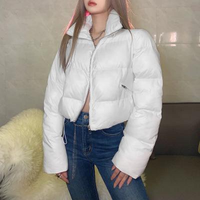 China Breathable keep warm women blow zipper autumn women clothing 2021 winter women coats for sale