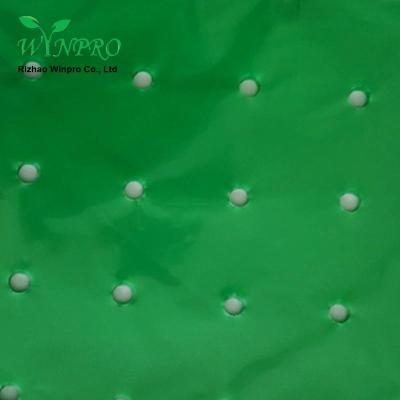 China Protect Your Plant Perforated Airs Holes Mulching Film For Tomato for sale