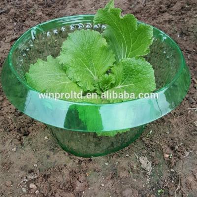 China Plant Cover with Collar Ring Garden Plant Protection Cover Slug and Snail Guard for sale