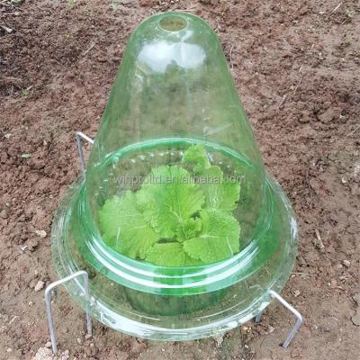 China Protect Plant From Snails Garden Plant Growing Plant Plastic Cap Bell Dome Cloche for sale