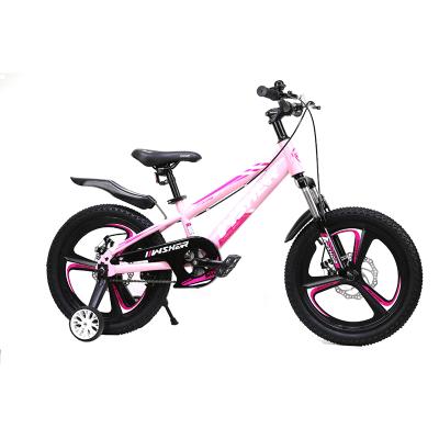 China High Quality Training Wheels High Carbon Steel Kids Balance Bike 18