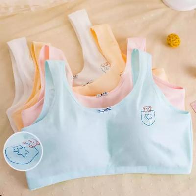 China School Student Undergarments Vest Cotton Bra for Young Girl Wireless Puberty Training Bras Padded Plus Size Girls Bra Underwear for sale