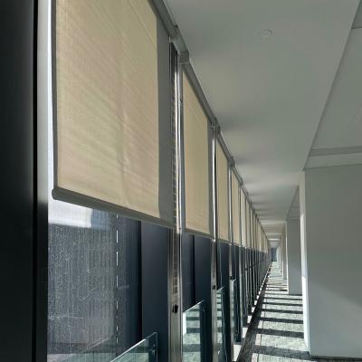 China Modern customized transparent biackout / motorized roller blinds for office buildings, hospitals and other public places for sale