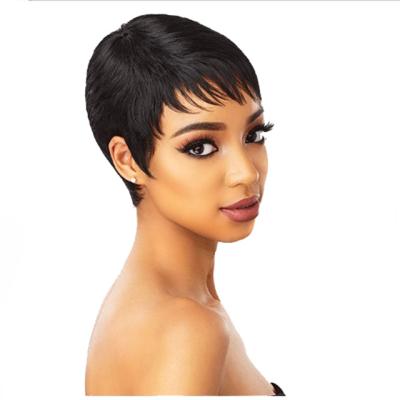 China 2022 Hot Selling Cheap Curly Short Pixie Wig 100% Virgin Hair 100% Brazilian Hair Wigs Side Piece Lace Front Wigs For Black Women for sale