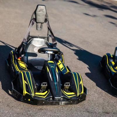 China High Performance Electric Go Kart Car with Brushless Hub Motor Drive Mode for sale