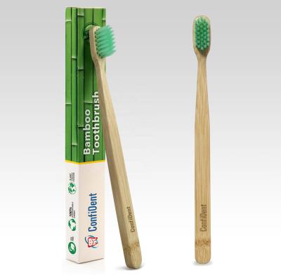 China 100% Natural Bamboo Person Packed Travel Adult Bamboo Toothbrush With Case for sale