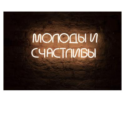 China Retail Store Shop Mall Lighting Custom Size and Design Decoration LED Indoor Outdoor Neon Sign for sale