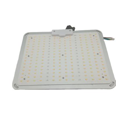 China Ultra high luminous efficacy full spectrum led to grow light equivalent 3000k warm white light; 6000k cold white light; 660NM red light for sale