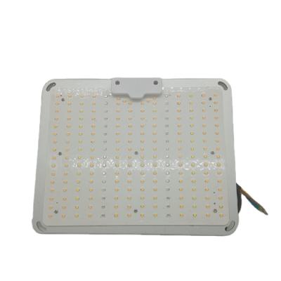 China Wholesale 200W Dimmable Ultra High Luminous Efficacy Full Spectrum Timer Led Grow Lights For Indoor Plants for sale