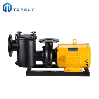 China Mature Technology China Low Noise Big Flow Jet Water Pump 10hp Swimming Pool Pump for sale