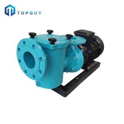 China Large Capacity Filter Basket In Water Electric Ring Vacuum Pump System Clean Water Pump Newest Stainless Steel Iron Pump for sale