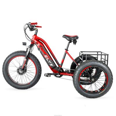 China Elyx Es004 Aluminum Cargo Electric Tricycle 36V 250W Front Motor 24