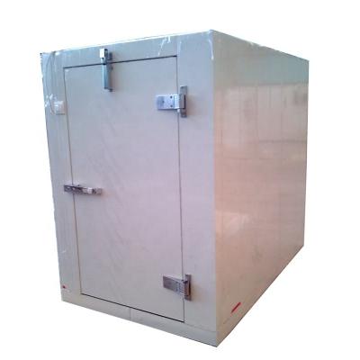 China Container Cold Room Freezers Cold Storage Room With Insulation Panels And Refrigeration Equipments Condensing Unit Fan Cooling for sale