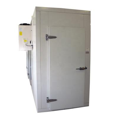 China Container Container Cold Room With Wall Monoblock Condensing Unit for sale