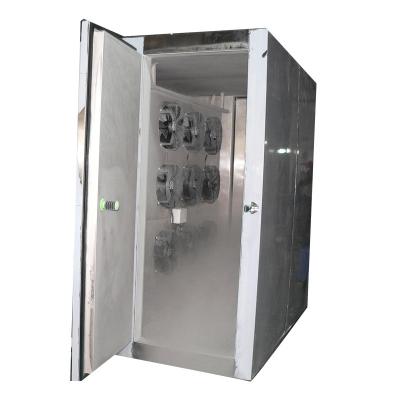 China Hotels Commercial Blast Freezer For 60 Kg Food Freezing for sale