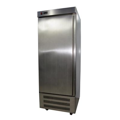 China Single-temperature Stainless Steel Upright Single Door Restaurant Hotel Refrigerator for sale