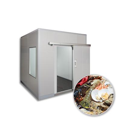 China food & 2021 Beverage Factory Easy To Install Cold Room Freezer Blast Freezer For Seafood for sale