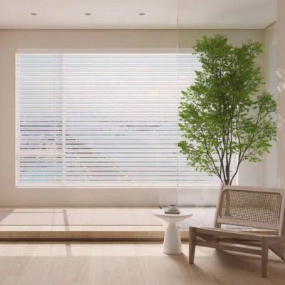 Κίνα Convenient Cordless Venetian Window Blinds With Dry Cloth Cleaning προς πώληση