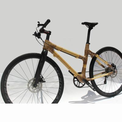 China Bamboo Gravel Bicycle Road Dsc Bike Carbon Fiber Naturefly Full Speed ​​1x10 Gravel Bike for sale