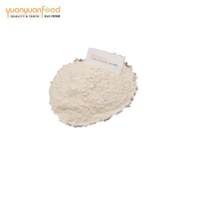 China Factory price wholesale ad dehydrated horseradish powder for sauce for sale