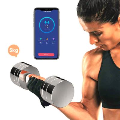 China Plated Dumbbell Home Gym Fitness Adjustable Dumbbell With APP Smart Dumbbell 48 for sale