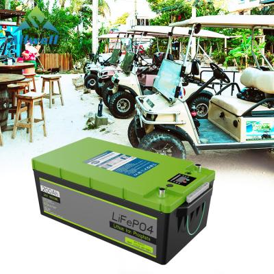 China Home Appliances 5925wh 120ah Ski Cell Lithium-Ion Energy Storage Battery 48v Bms Lithium Ion Battery for sale