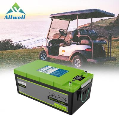 China Home Appliances Golf Trolleys Cells Battery Pack Lithium Ion 48v 51.2v Solar Energy Storage Lithium Ion Battery for sale