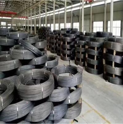 Cina Servizi di controllo e di garanzia Filato di acciaio inossidabile fine di grado SAE1080 in vendita