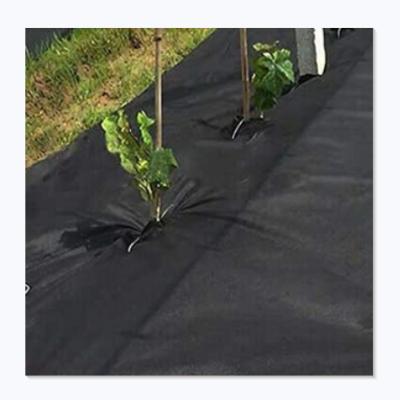 China Agricultural or garden used for carpet weed blocker barrier ground cover and weed ground cover for sale