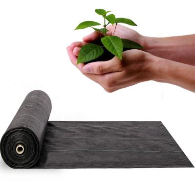 China Agricultural or Garden Used for Anti-skid Mat Plant Ground Cover Garden Weed Barrier and Weed Ground Cover for sale