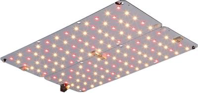 China Hochleistungs 80W Flat Panel Led Wachstumslicht Innengärtner Beleuchtung zu verkaufen