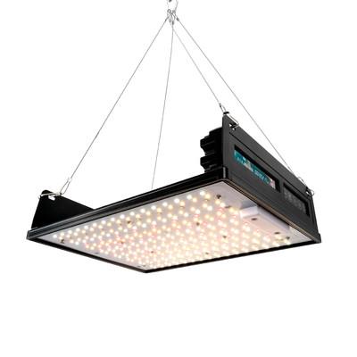 China Anpassbares 150w LED Wachstumslicht IP65 Flat Panel Wachstumslichter hohe Effizienz zu verkaufen