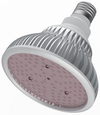 China Customizable Full Spectrum Led Grow Light Bulb Horticultural Light Bulbs 110-277V for sale