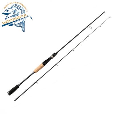 China Low Price Medium Travel Cork Handle 2 Heavy Tip Carbon Fiber Hard Saltwater Fishing Rod for sale