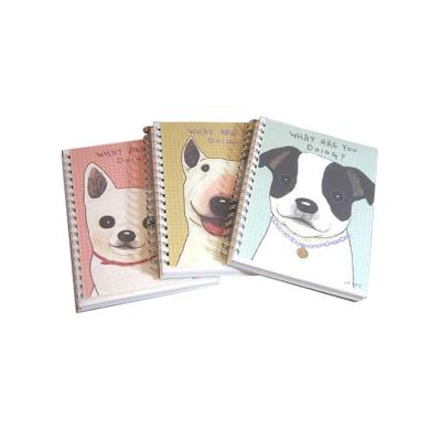 China 100% eco-friendly school notebook wholesale eco-friendly exercise books, school exercise book for sale