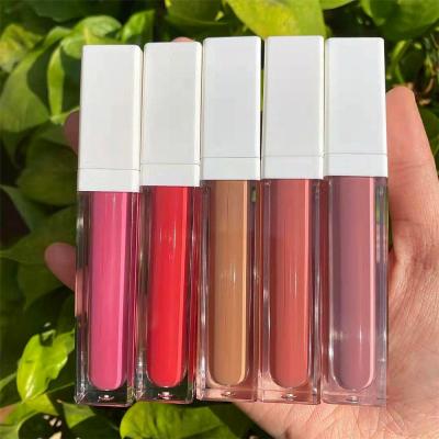 China Professional Sunscreen OEM Cosmetic Matte Natural Pink Lip Gloss Tube With Great Price for sale