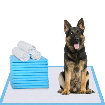 China 60X60cm Dog Disposable Sanitary Toilet Pet Stocked Training Pad PEE Training Pads Pee Pads For Dogs for sale