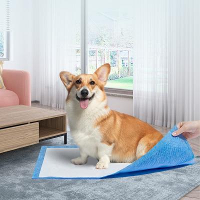 China Viable Wholesale Hot Sale Pet Care Products Puppy Poop Pads Pee Pads For Dogs 60 x 60cm Pet Toilet Pad for sale