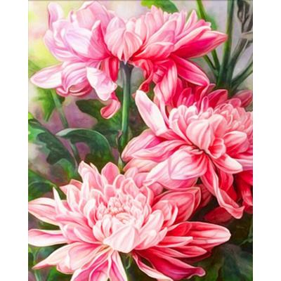 China Home Decorations Peony Frame Diy Paint By Numbers Flower Canvas Drawing Hand Painted Kits Gift Wall Decor 60*75cm for sale