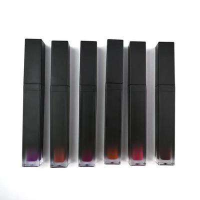 Cina Nessun Logo Tube Long Lasting 40 colori Matte Lipstick Gloss in vendita