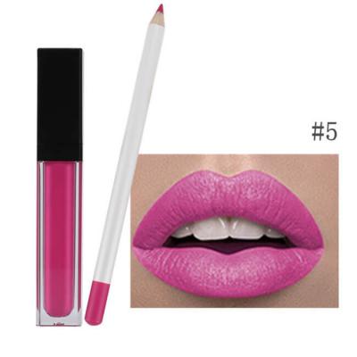 Cina MSDS 8ml 2 in 1 insieme di lucentezza di Matte Lip Liner And Lip in vendita